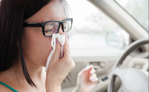 Allergie primaverili sito